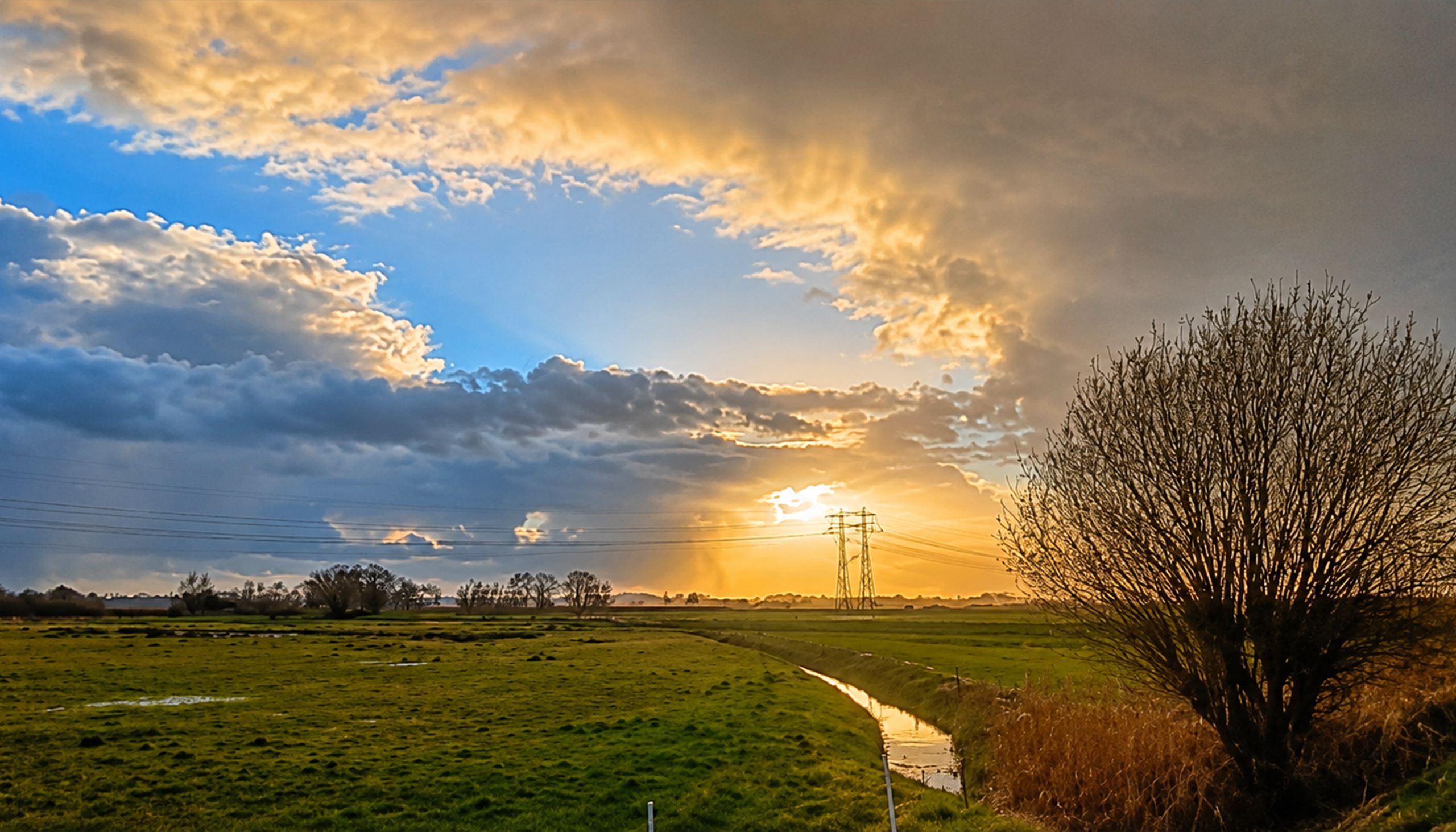 Sterrenbeeld Leeuw