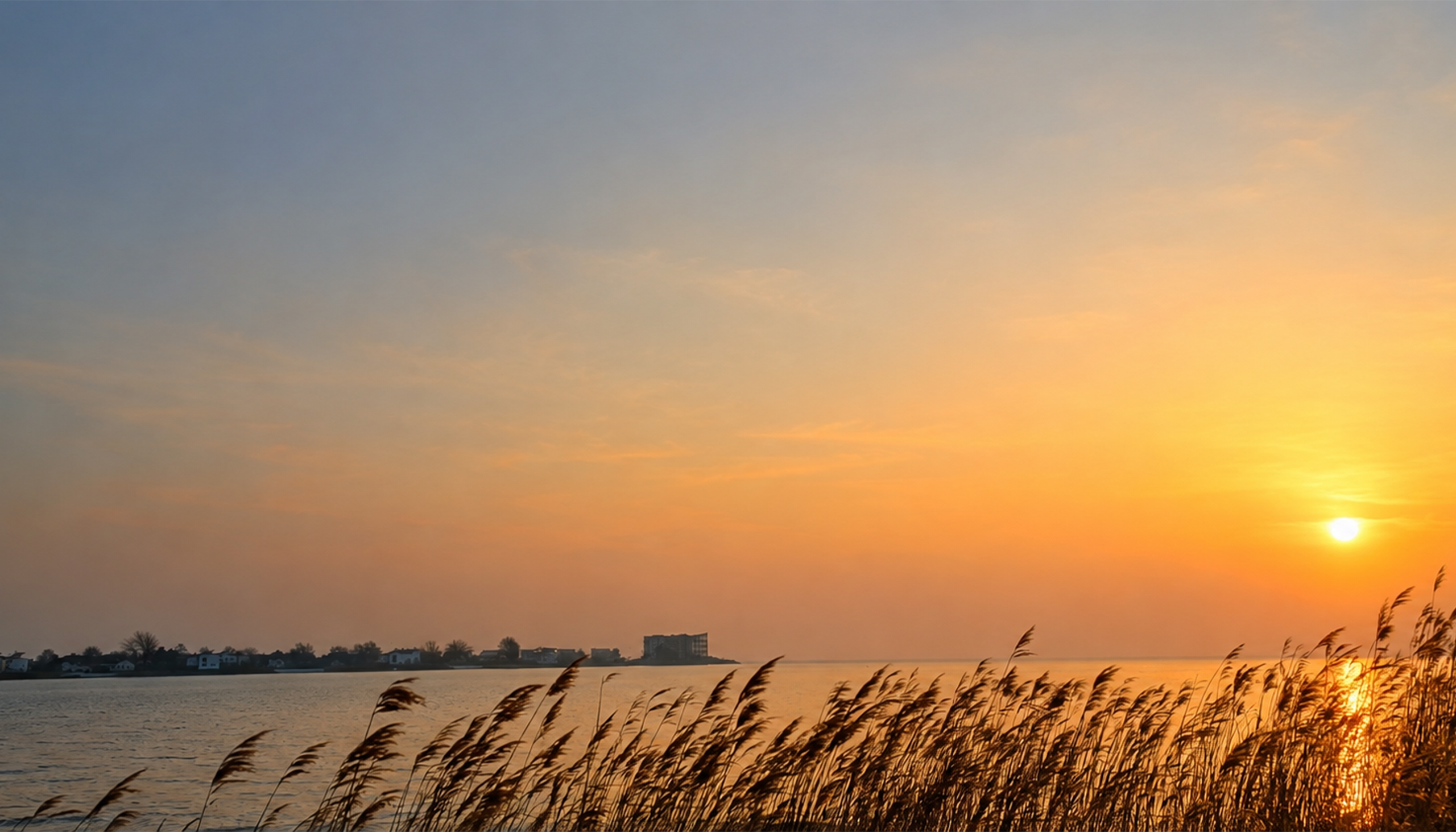 Pluto door de huizen
